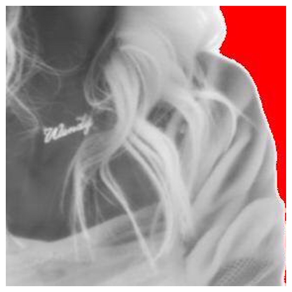 Meet your Posher, Weji